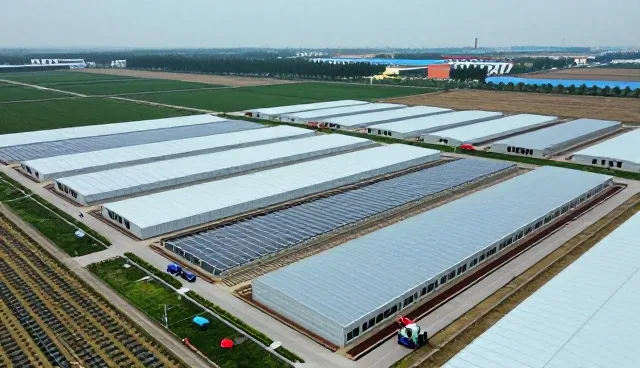 远程技术支持系统安装调试的关键性能与适用场景分析